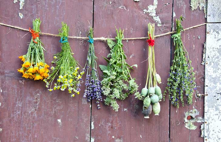 Blumen haltbar machen: Kreative Methoden zum Trocknen von Blumen