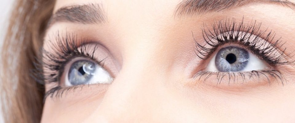 LashLink: Qualität bei Wimpernpinzette und Wimpern für Profis