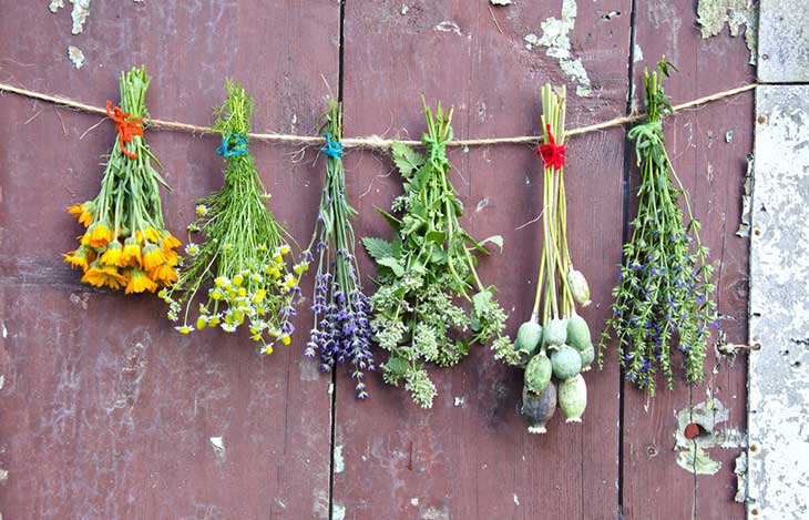 Blumen haltbar machen: Kreative Methoden zum Trocknen von Blumen