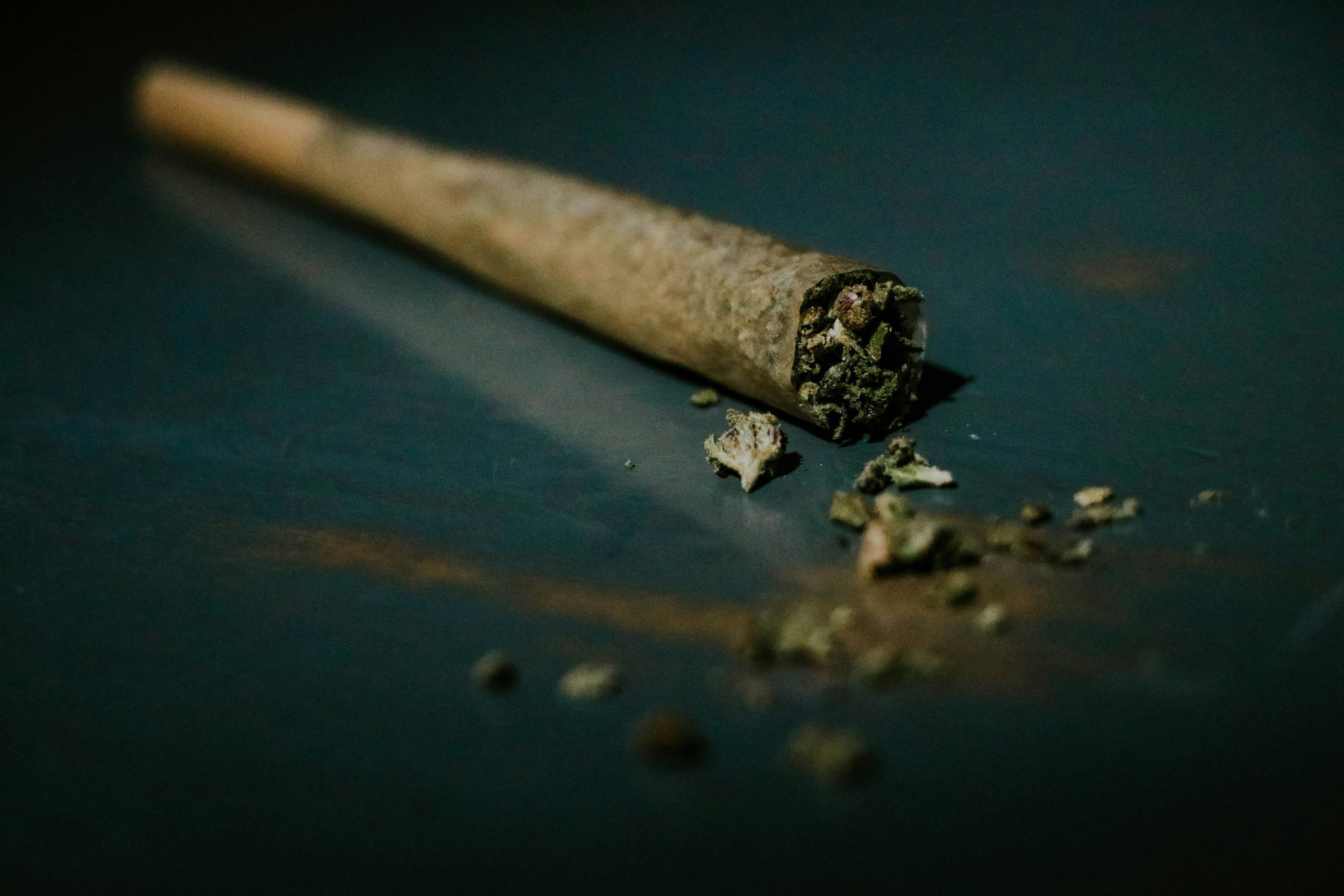 Top Seedbanks im Überblick – Cannabissamen kaufen legal in Deutschland