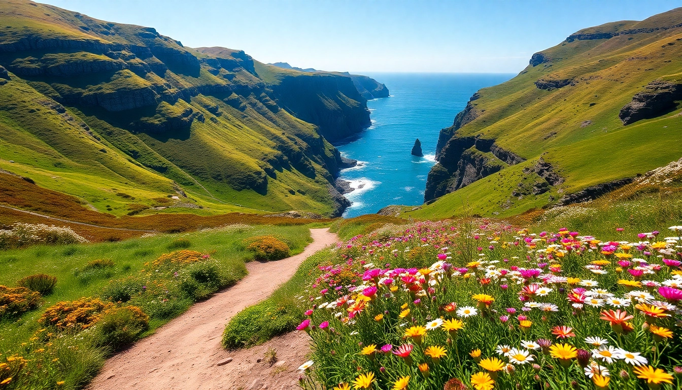 Wandern auf dem Dingle Way Irland mit atemberaubendem Ausblick über grüne Hügel.